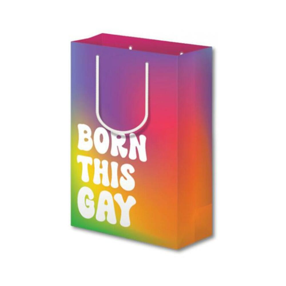 Born This Gay Pride Large Gift Bag