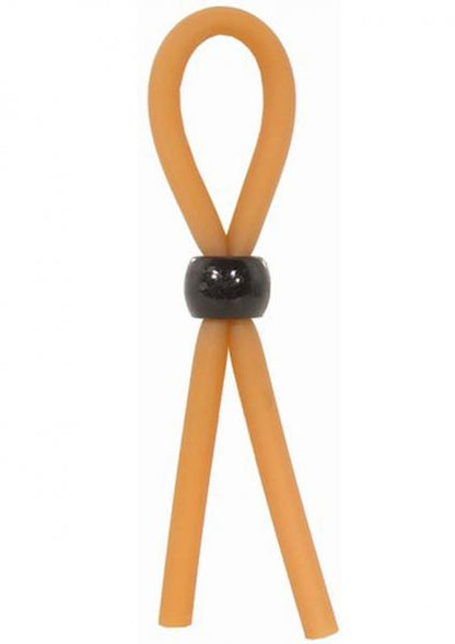 The lasso