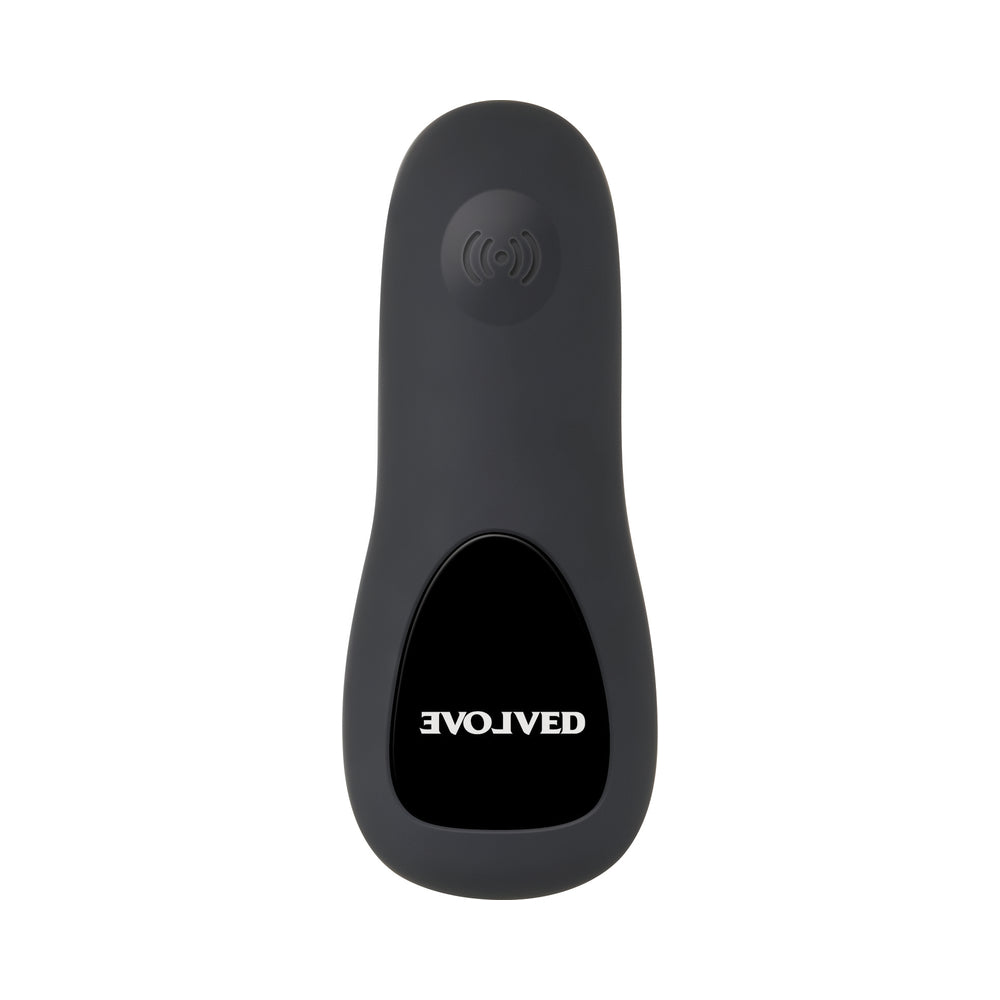 Evolved Plug&Play