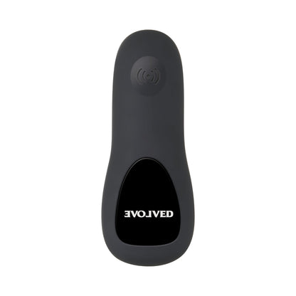 Evolved Plug&Play