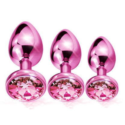 Nixie Metal Butt Plugtrainerset 3-piece Pink Metallic