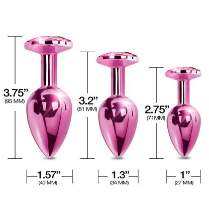 Nixie Metal Butt Plugtrainerset 3-piece Pink Metallic