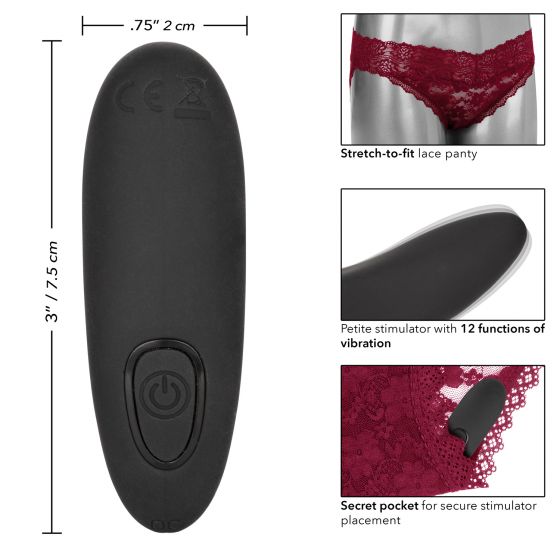Remote Control Lace Panty Set S/m Red