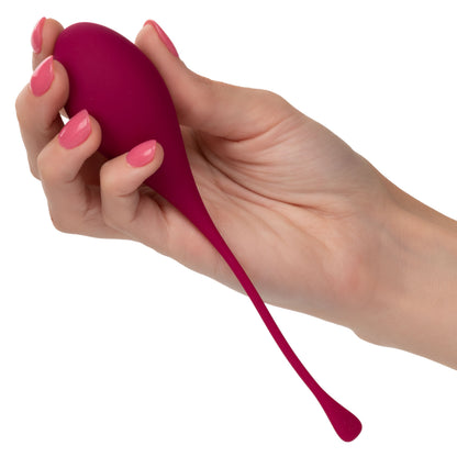 Kegel Training 5pc Set Assorted