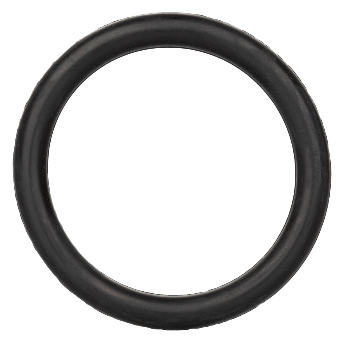 Rubber Ring Medium