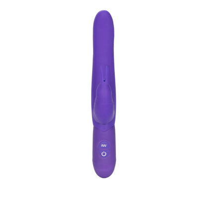 Posh 10 Function Bounding Bunny Purple