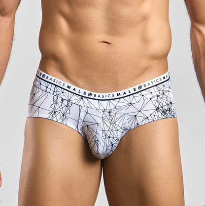 Male Basics Hipster Brief Spider Large (hanging Only)