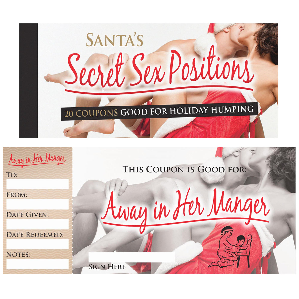 Santa's Secret Sex Position Coupons